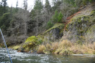 DSC_0182 (Large).JPG